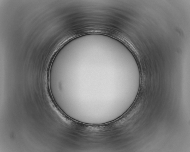 X0000112930898200908241051