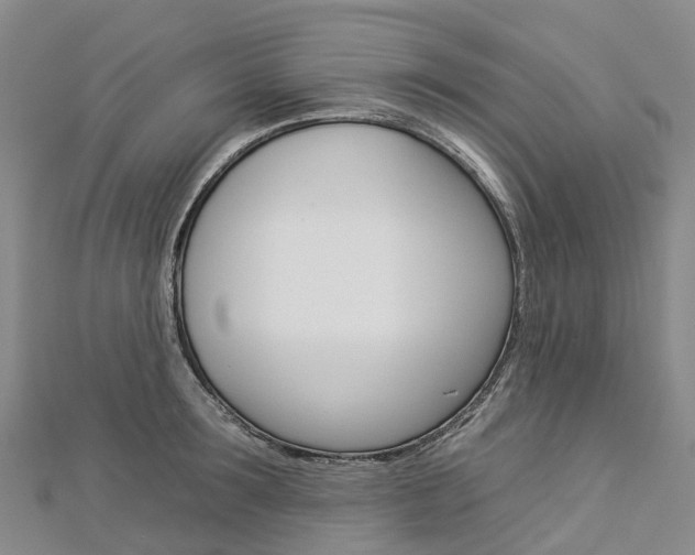 X0000112930899200908241051