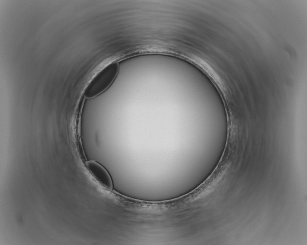 X0000112930901200908241051