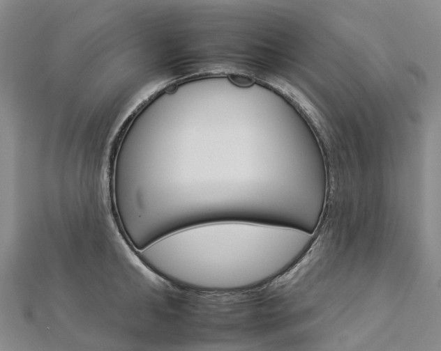 X0000112930902200908241051