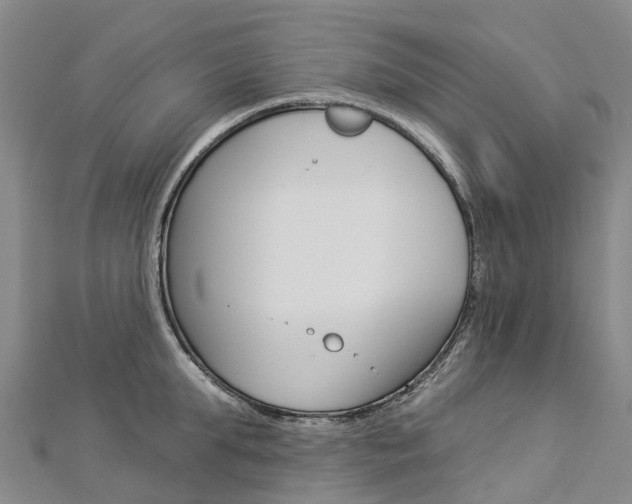 X0000112930903200908241051