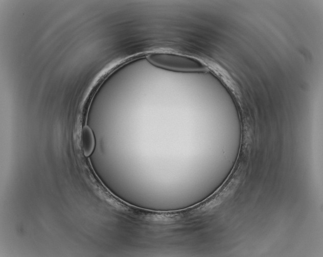 X0000112930904200908241051