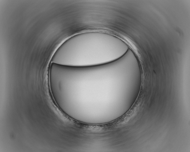 X0000112930907200908241051