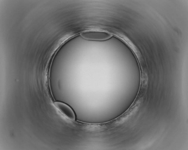 X0000112930909200908241051