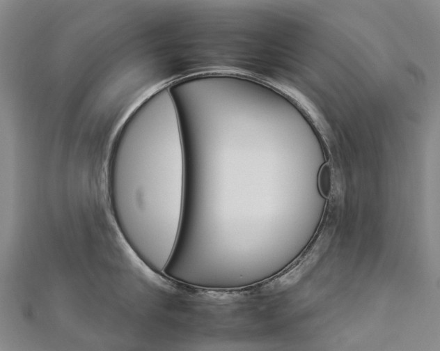X0000112930910200908241051