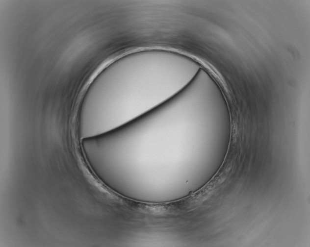 X0000112930911200908241051