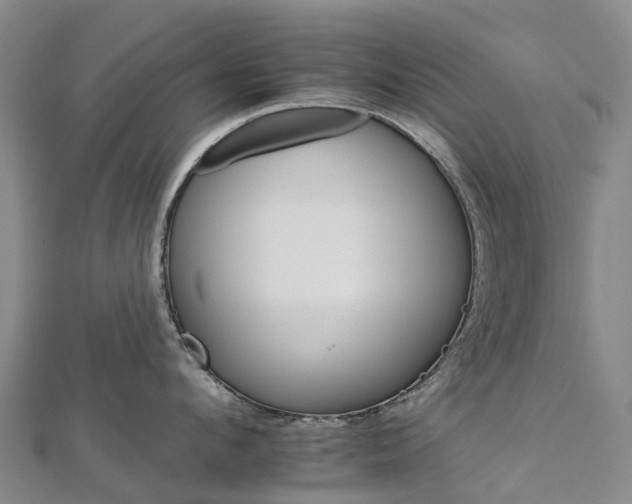 X0000112930912200908241051