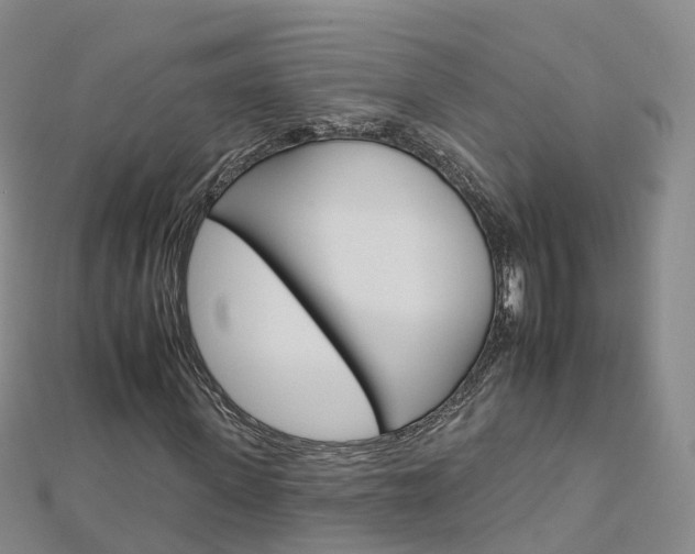 X0000112930915200908241051