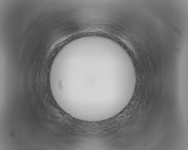 X0000112930920200908241051