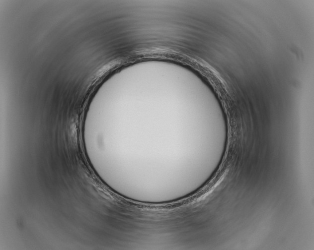 X0000112930921200908241051