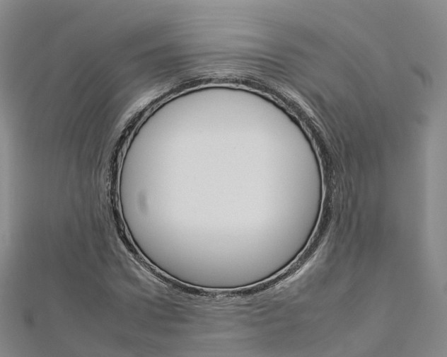 X0000112930922200908241051
