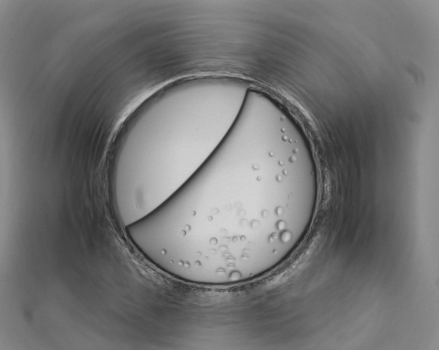 X0000112930925200908241051