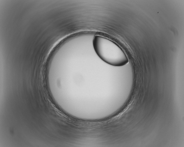 X0000112930926200908241051