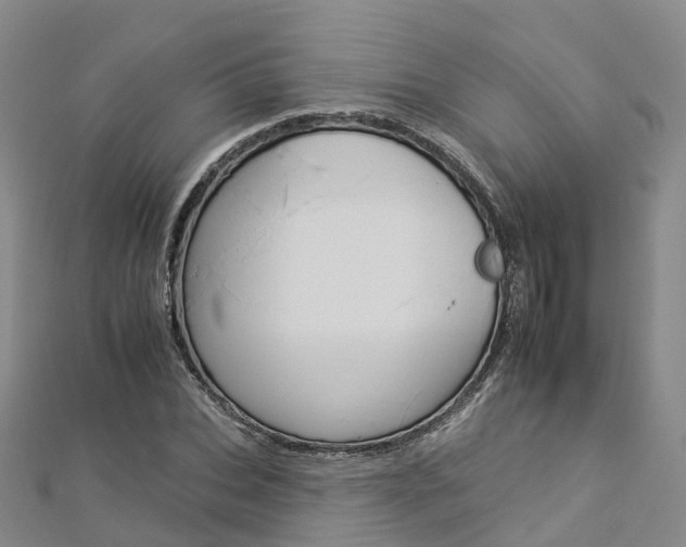 X0000112930927200908241051