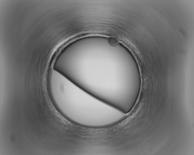 X0000112930928200908241051