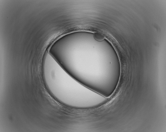 X0000112930930200908241051