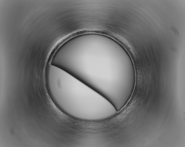 X0000112930935200908241051