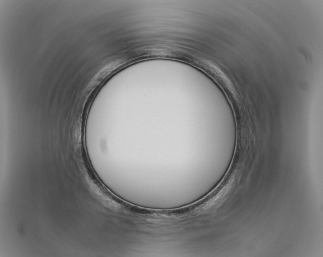 X0000112930938200908241051