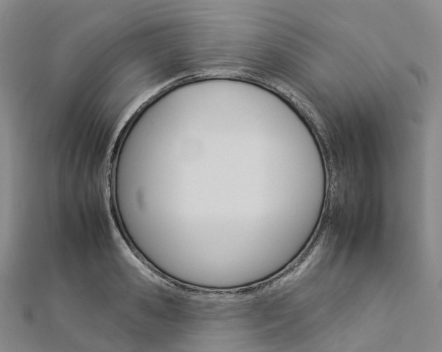 X0000112930941200908241051