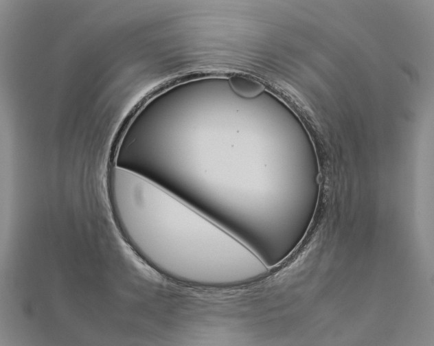X0000112930942200908241051