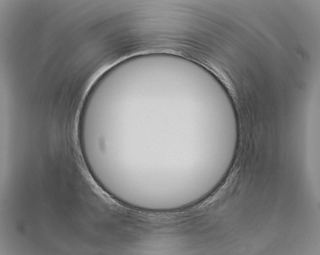 X0000112930944200908241051