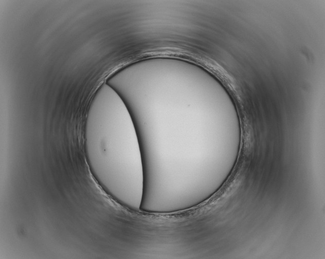 X0000112930945200908241051
