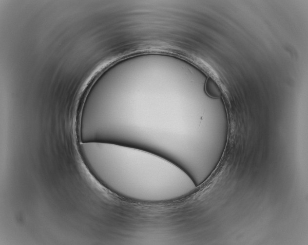 X0000112930947200908241051