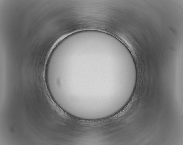 X0000112930948200908241051