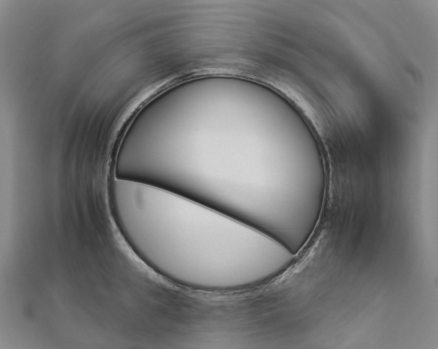 X0000112930949200908241051