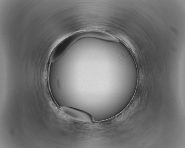 X0000112930952200908241051