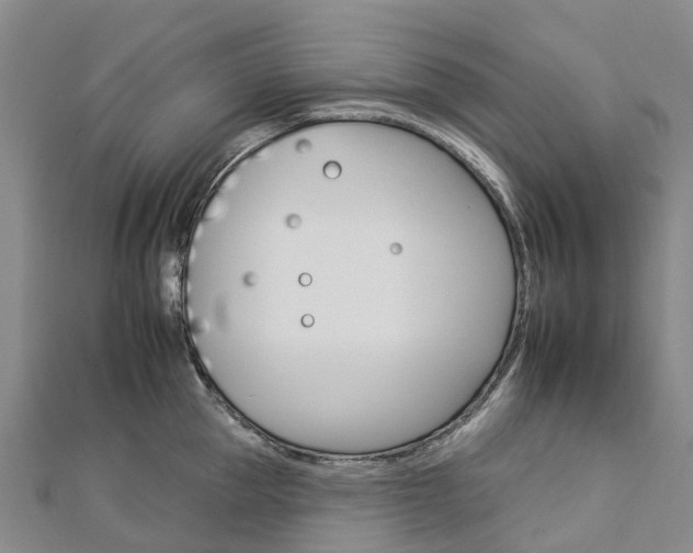 X0000112930953200908241051