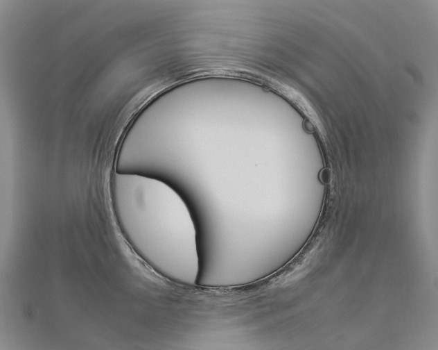 X0000112930954200908241051