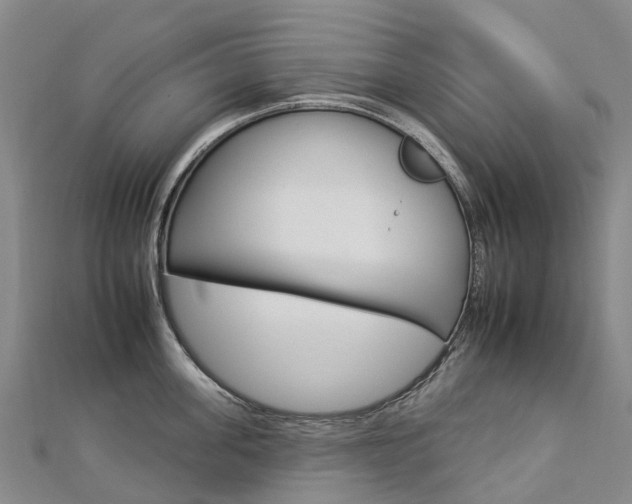 X0000112930955200908241051