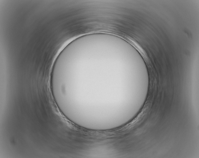 X0000112930956200908241051