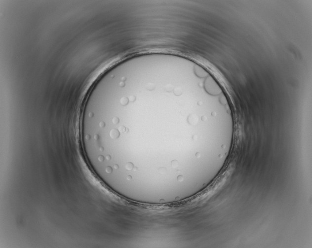 X0000112930957200908241051