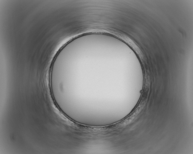 X0000112930958200908241051