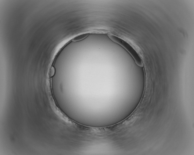 X0000112930960200908241051