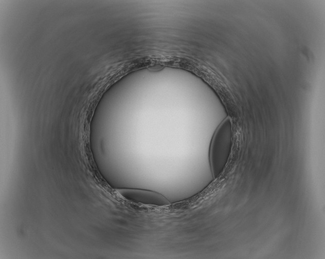 X0000112930961200908241051