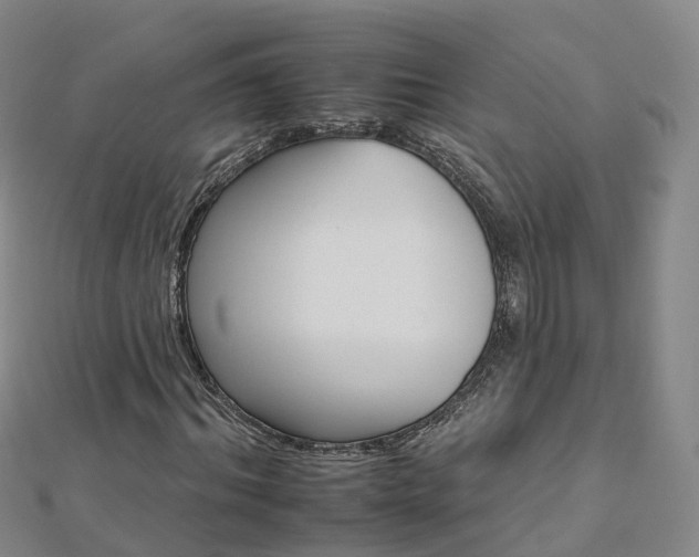 X0000112930964200908241050