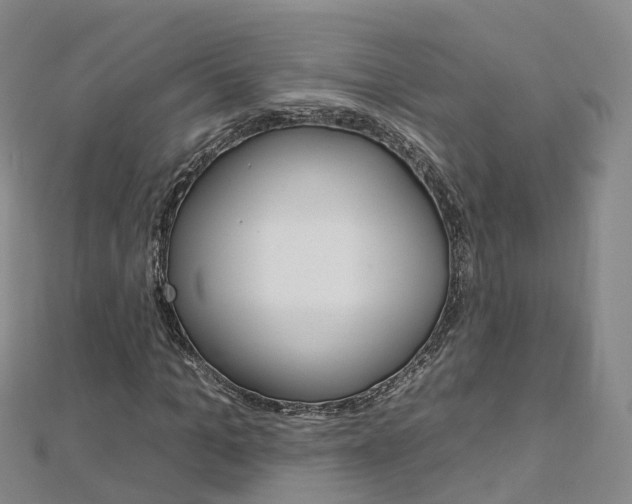X0000112930965200908241050