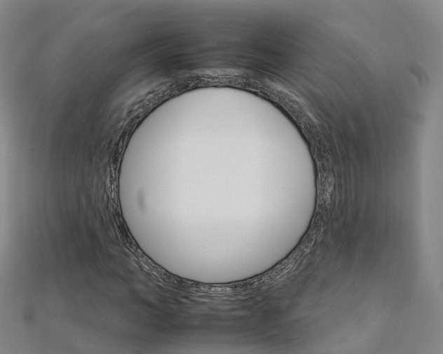 X0000112930966200908241050
