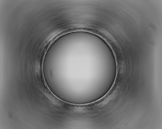 X0000112930969200908241050