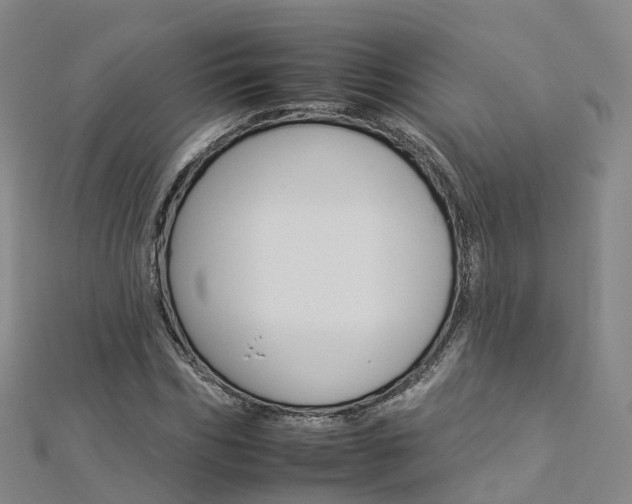 X0000112930970200908241050