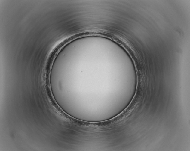 X0000112930971200908241050