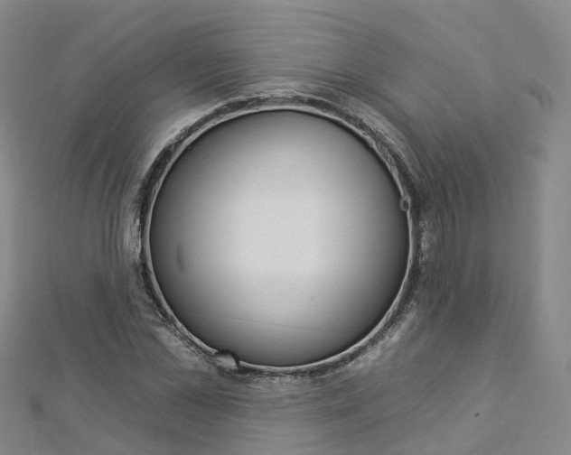 X0000112930973200908241050