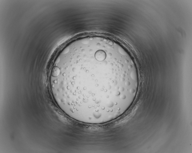 X0000112930974200908241050