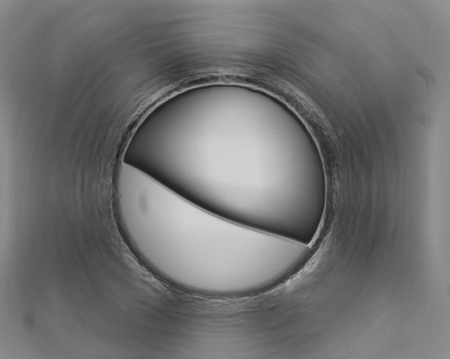 X0000112930977200908241050