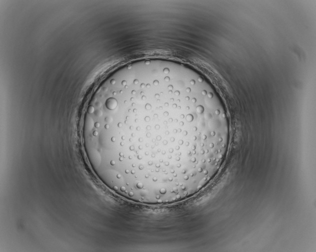 X0000112930978200908241050