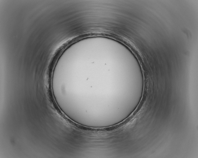 X0000112930979200908241050