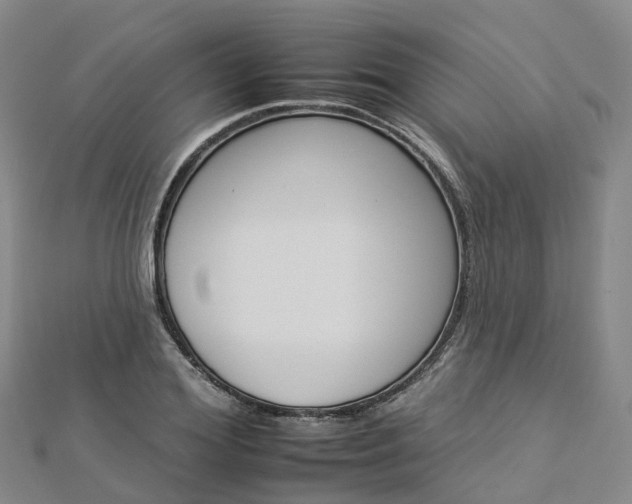 X0000112930980200908241050